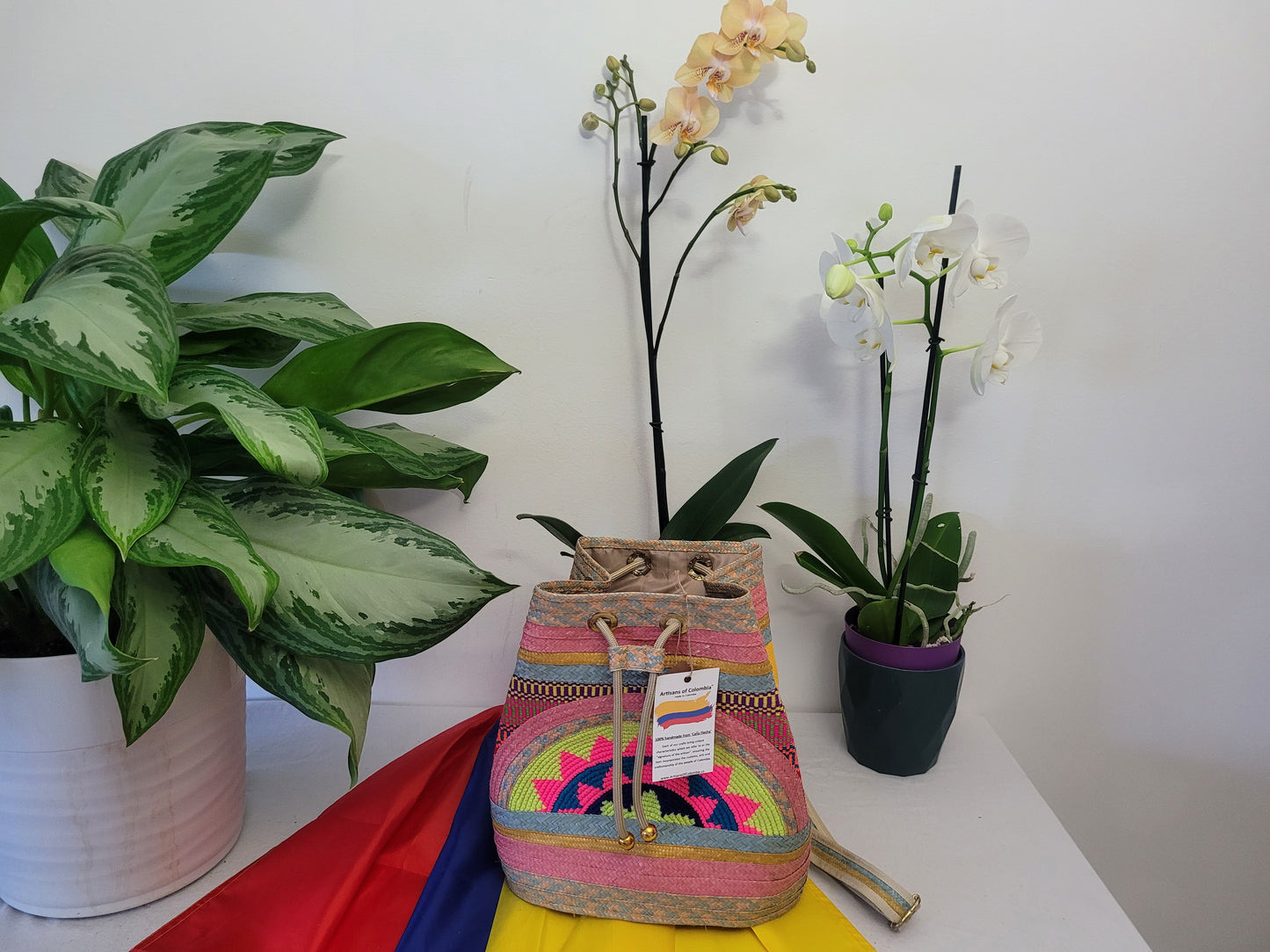 Handbag / Backpack / Mochila