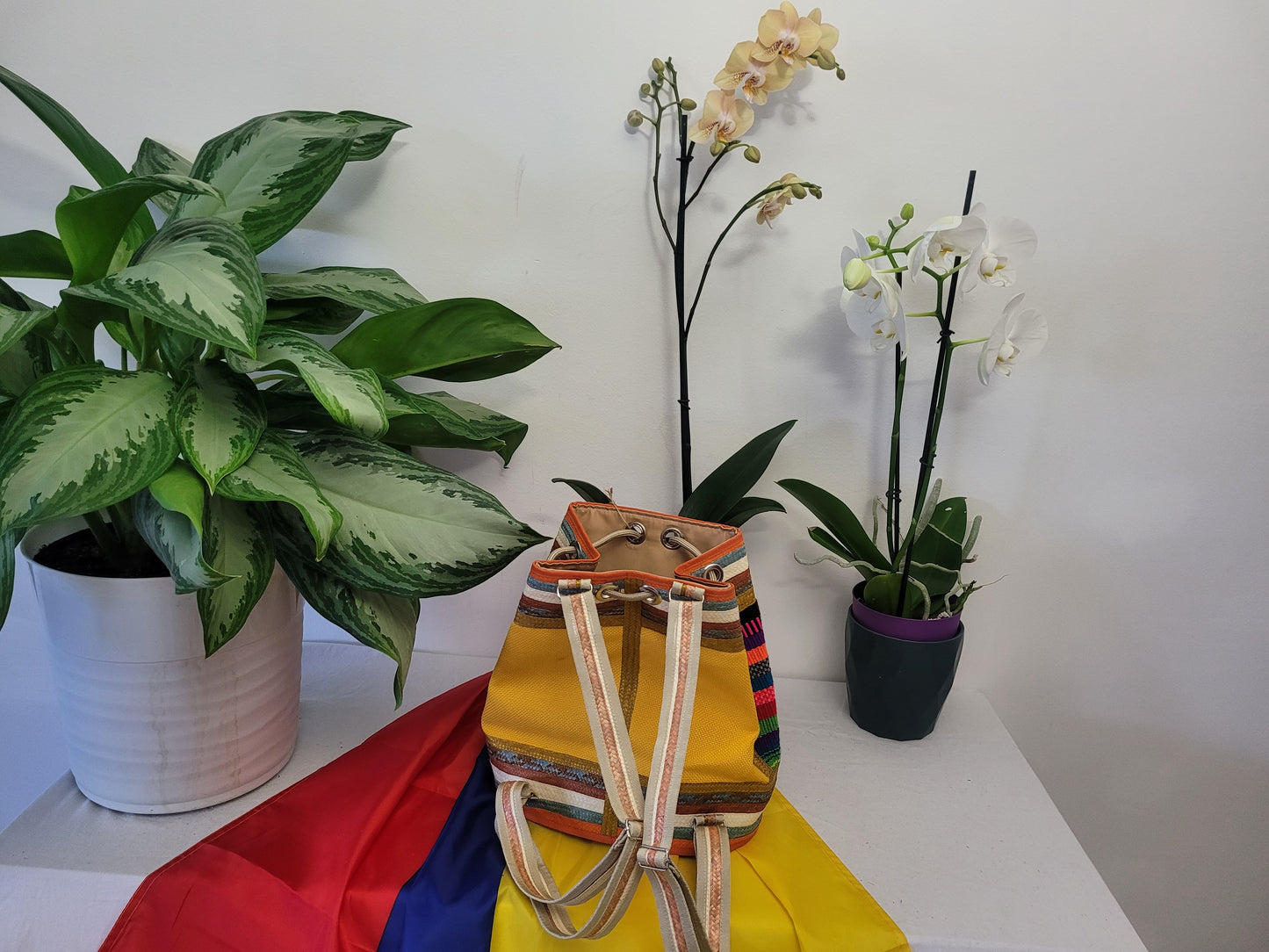 Handbag / Backpack / Mochila
