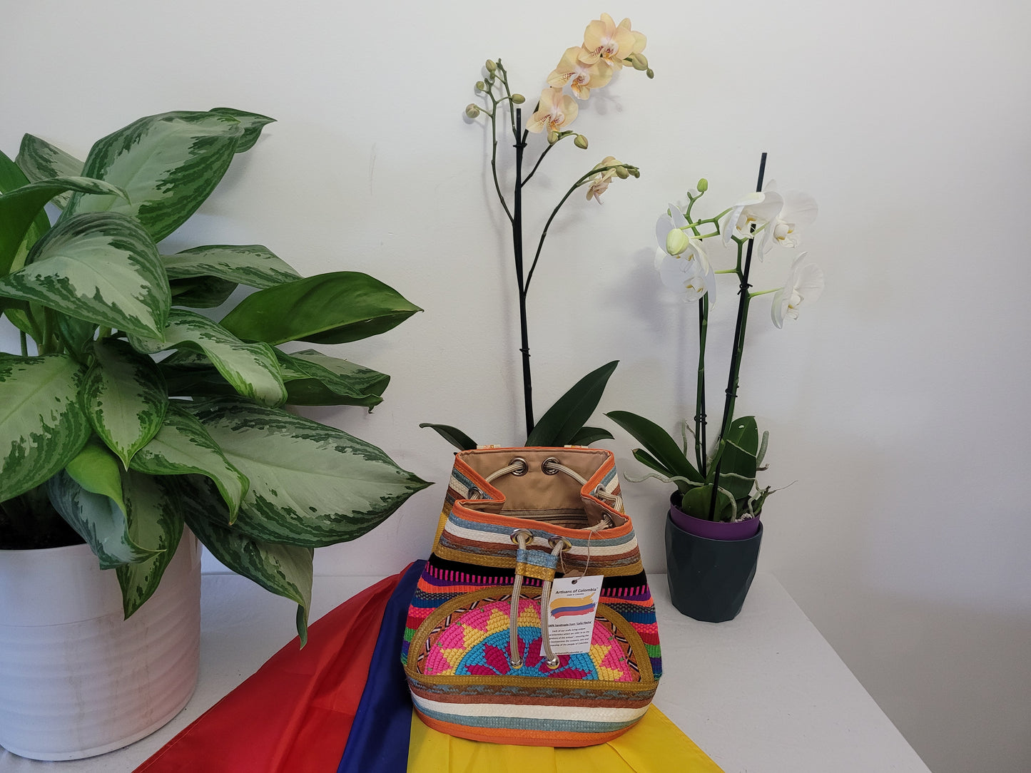 Handbag / Backpack / Mochila