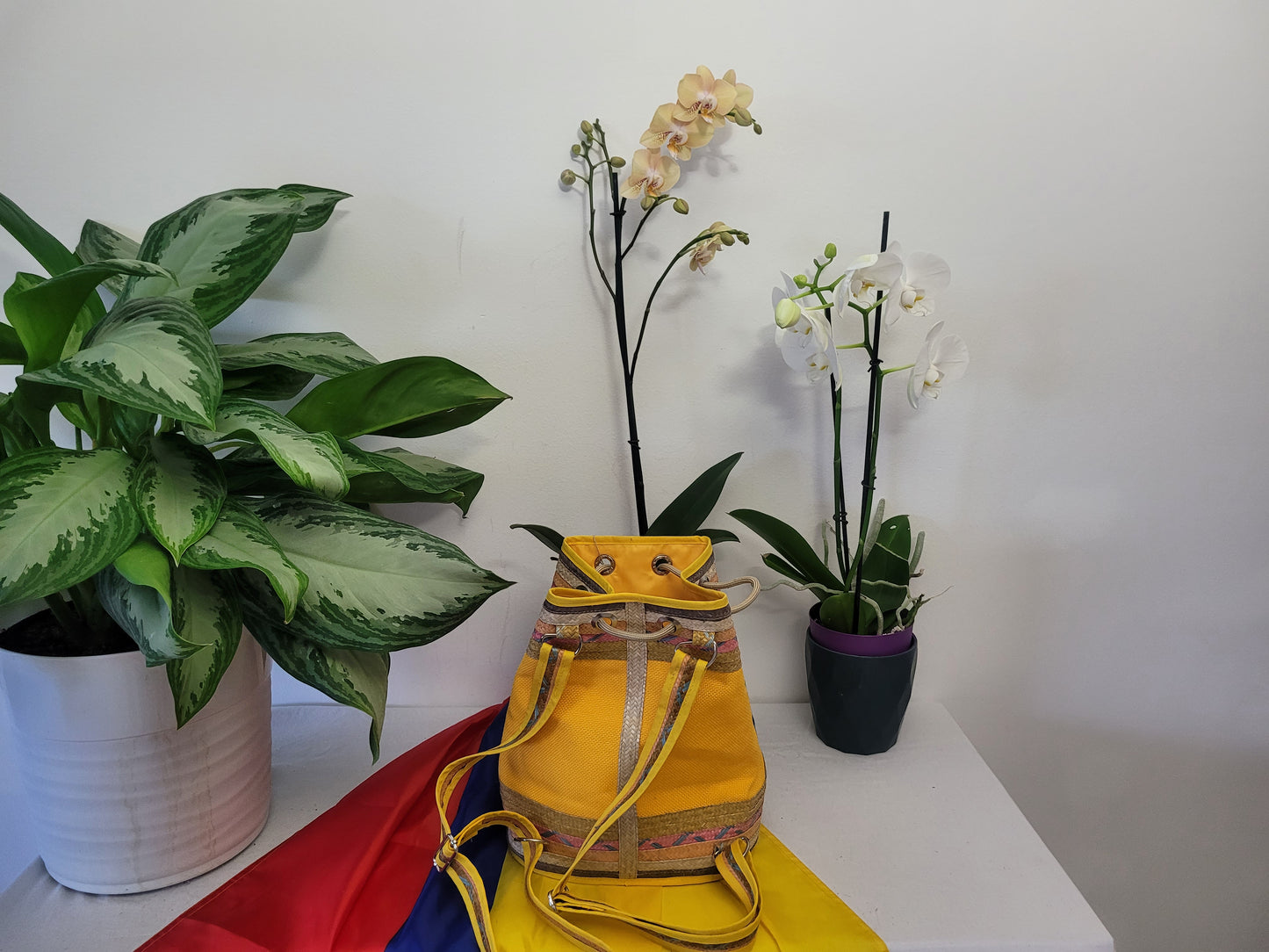 Handbag / Backpack / Mochila