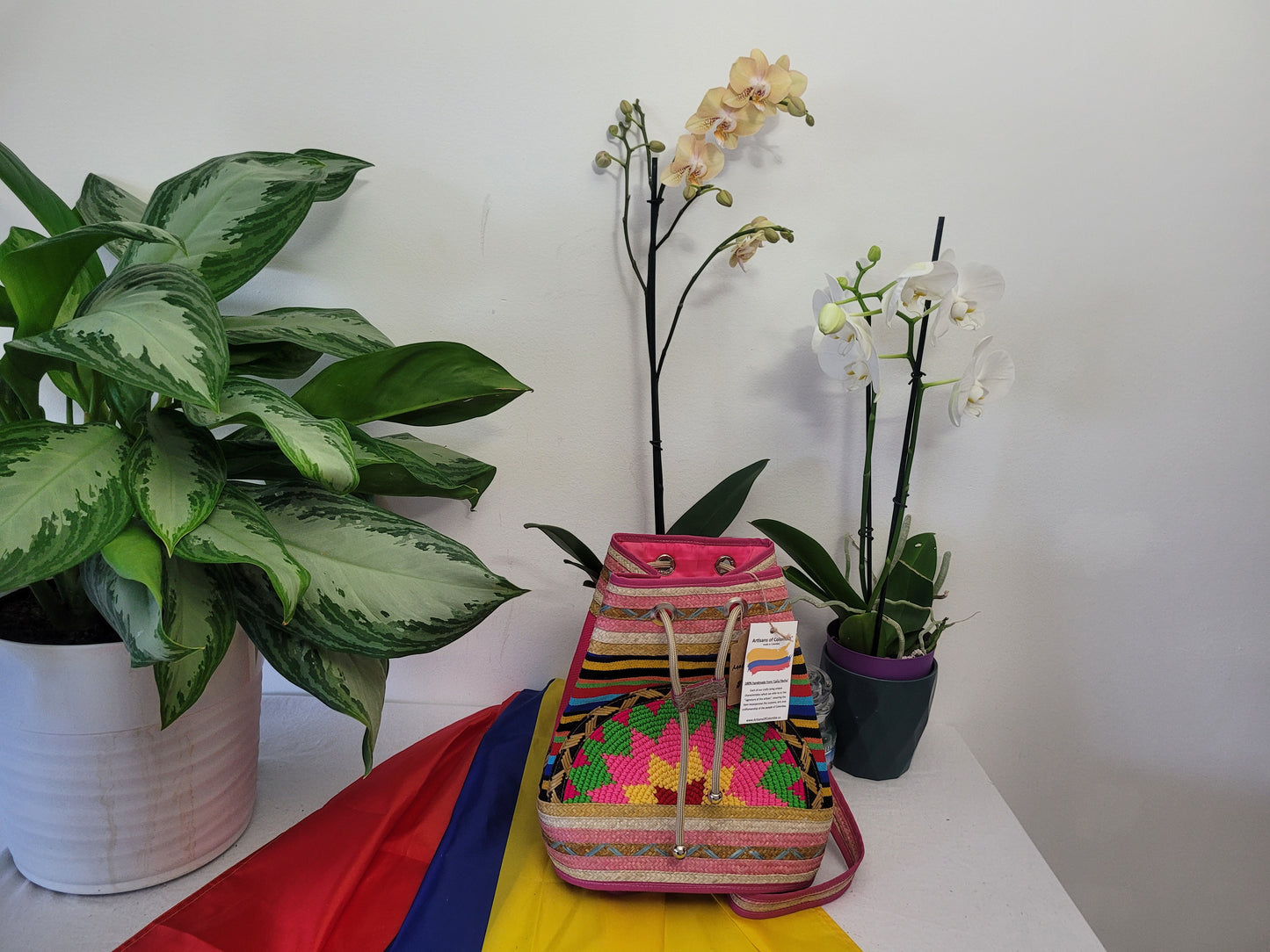 Handbag / Backpack / Mochila