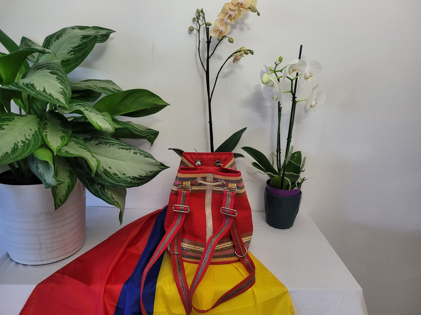 Handbag / Backpack / Mochila