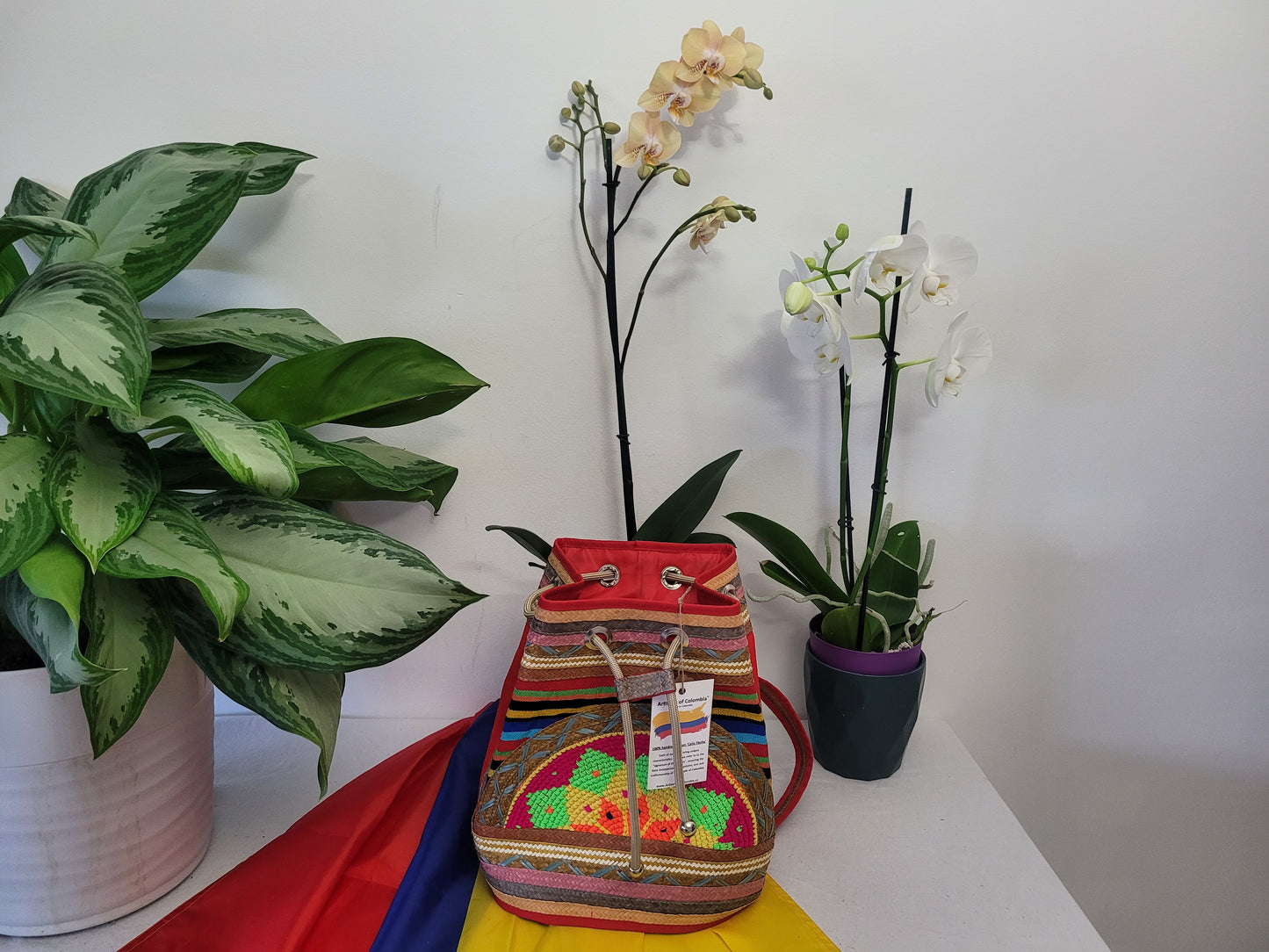 Handbag / Backpack / Mochila