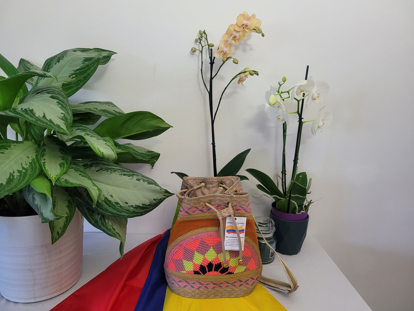Handbag / Backpack / Mochila