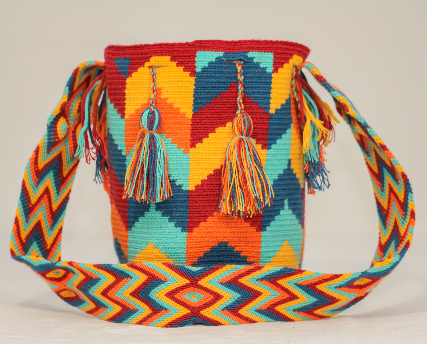 Handbag / Backpack / Mochila
