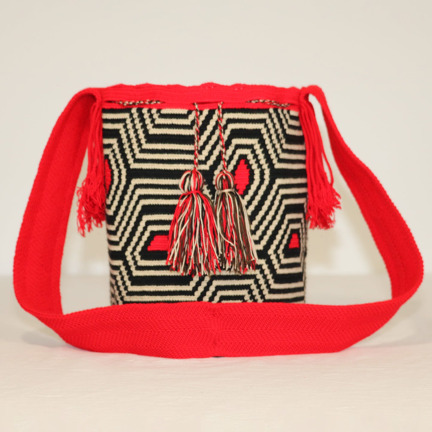 Handbag / Backpack / Mochila