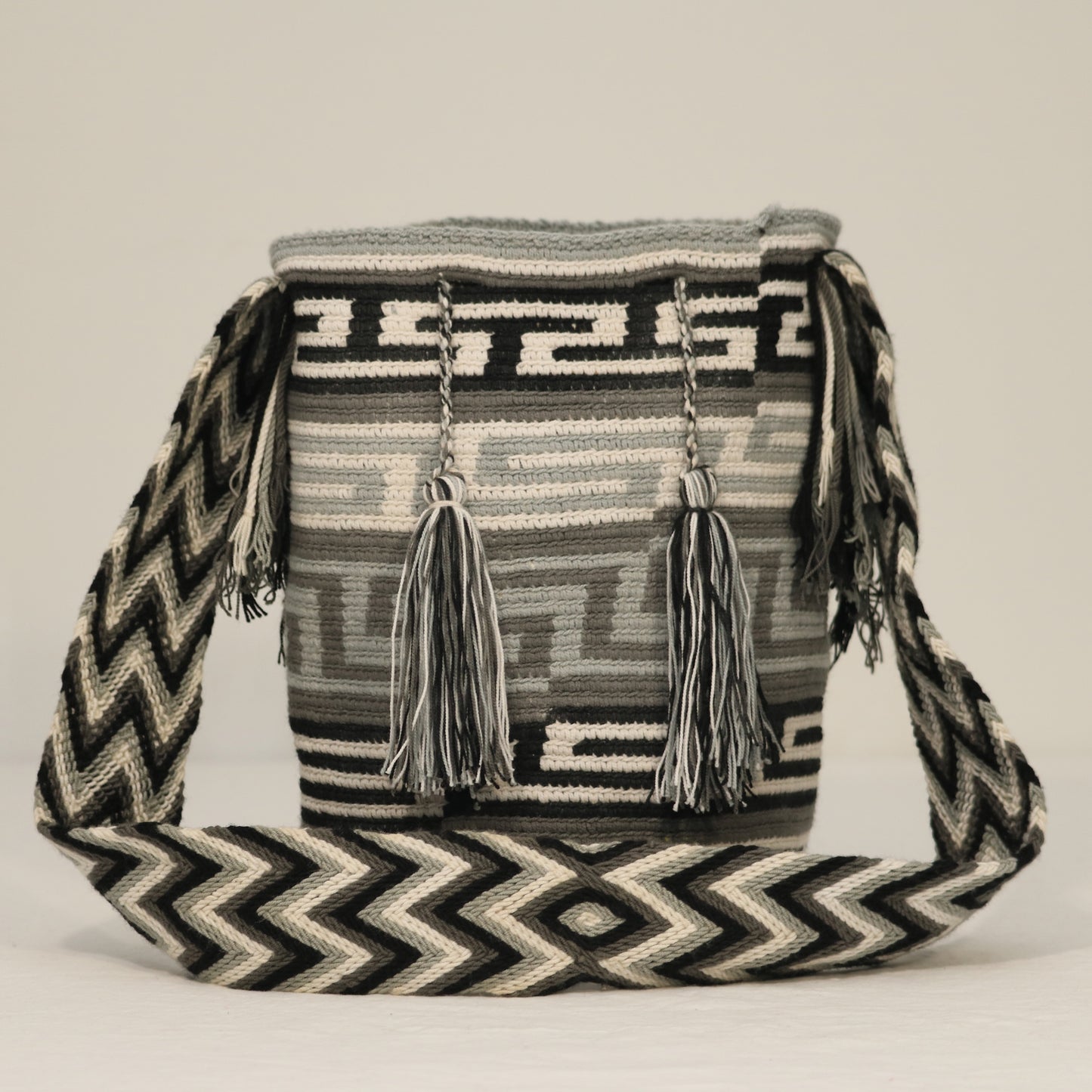 Handbag / Backpack / Mochila