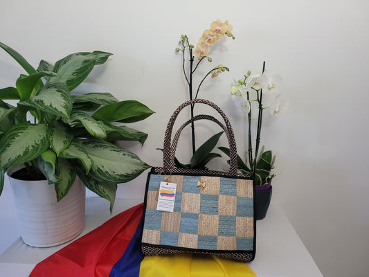 Purse / Bolso